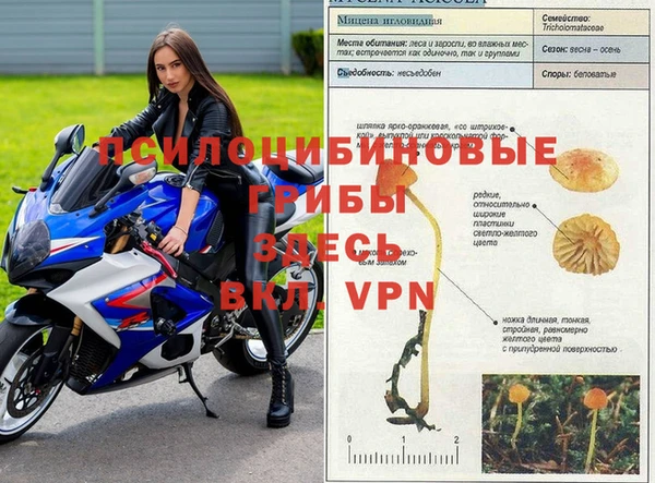 наркотики Нефтегорск