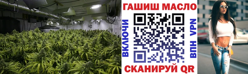 ТГК Wax  Тайга 